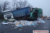 На трассе в Николаевской области столкнулись два седельных тягача – погиб водитель