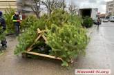 «Вопрос на постоянном контроле»: в Николаеве занялись проверкой законности продаж елок и сосен