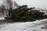 В Сумской области рухнула городская елка