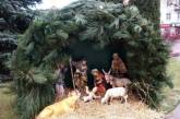 Из рождественского вертепа возле горсовета в Кропивницком украли корову и ягненка