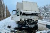 В Николаевской области столкнулись две фуры: погибшего деблокировали спасатели