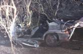 ВАЗ влетел в дерево в Киевской области: погиб 14-летний подросток