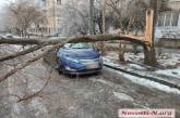 В центре Николаева огромная ветка упала на автомобиль и полностью перекрыла улицу