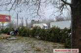 31 декабря в Николаеве резко подешевели елки