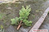 Праздник закончился – елки остались: в Николаеве торговцы бросили деревья и мусор на тротуарах