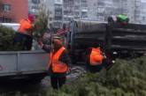 Одесские  предприниматели бросили тысячи непроданных елок на улицах