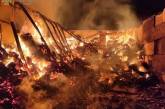 В Николаевской области пожар уничтожил почти 90 тонн соломы
