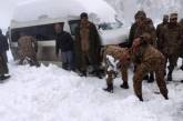 В Пакистане два десятка человек погибли в автомобилях во время снегопада