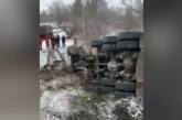 В Хмельницкой области перевернулся грузовик с навозом: погибли пешеход с собакой 