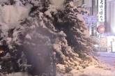  Погодные контрасты: пока Японию заметает снегом, Аргентина страдает от аномальной жары (видео)