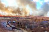 Масштабный пожар в Одесской области: горит 5 га национального природного парка (видео)