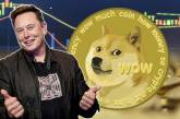 Tesla начала принимать Dogecoin: криптовалюта резко выросла