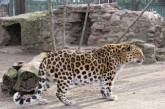 Николаевский зоопарк поздравил своих обитателей с днем рождения