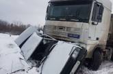 В Николаеве фура снесла ВАЗ (видео)