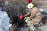 Спасатели помогли женщине, которая вытаскивала кота и упала в канализацию
