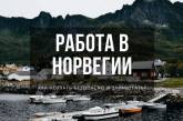 Работа в Норвегии: как поехать безопасно и заработать?