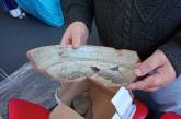 В центре Хмельницкого нашли старую корчму и артефакты, которым более 1000 лет