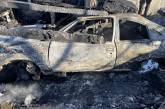 В Николаевской области сгорел гараж с «Опелем»
