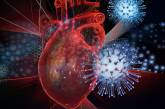 Коронавирус: затяжное заболевание губит сердце — результат исследований