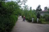 Отдыхающим в парковой зоне «Лески» напомнили правила поведения на природе