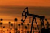 Поставки нефти и газа из России специально были выведены из-под санкций, - канцлер ФРГ