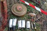 В Николаеве нашли замаскированную в траве мину, но больше всего в городе кассетных бомб, - ГСЧС