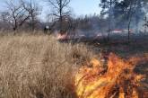 В Николаеве горел Балабановский лес – причина пожара устанавливается