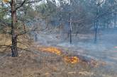 В Николаевской области сегодня горело два лесных массива
