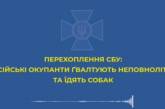 Российские захватчики рассказывают родным, как насилуют девочек и едят собак: перехват СБУ