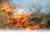 В Николаевской области из-за обстрелов сгорело почти 10 га сухой травы