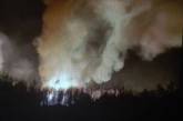 В Николаеве после взрыва горел лес