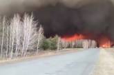 На России некому тушить лесные пожары