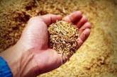 Вывоз зерна из Херсонской области может спровоцировать голод миллионов людей, - МИД