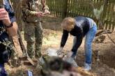 Расстреляли и переехали танком: под Киевом нашли тела двух убитых оккупантами человек