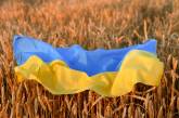В РФ заявляют, что из Николаевской области массово вывозят зерно, чтобы создать голод и обвинить захватчиков