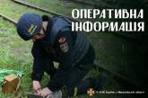Николаевские пиротехники за день изъяли 10 вражеских снарядов