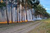 В результате российского обстрела в Николаеве загорелся лес