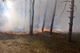 В Николаеве и пригороде из-за вражеских обстрелов горели леса