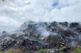 В Николаевской области горела нелегальная свалка