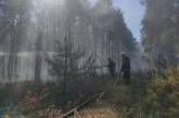 В Николаевской области за сутки из-за обстрелов произошло пять пожаров (фото)