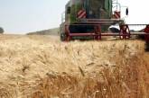 Украина готовится к сбору урожая: Шмыгаль рассказал, как планируют решать основные проблемы