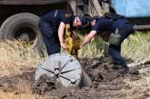  За сутки в Николаевской области пиротехники отработали 20 сообщений о взрывоопасных предметах