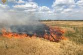 В Николаевской области из-за вражеских обстрелов возникли пожары (видео)