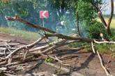 В Николаевской области спасатели убрали с трассы дерево, которое повалила непогода