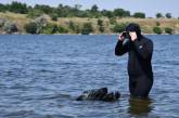 В Николаеве начали разминирование городских пляжей (фото, видео)