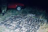В Николаевской области браконьеры наловили рыбы на миллион 
