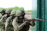 На границе с Украиной в Беларуси находятся до семи батальонов