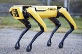 США собираются передать Украине собак-роботов 