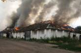 В Николаевской области из-за обстрелов сгорело 10 га озимой пшеницы и зернохранилище