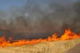 Из-за обстрелов на полях Николаевской области горел урожай